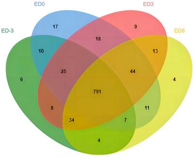 Quantitative proteomic analysis and verification identify global protein profiling dynamics in pig during the estrous cycle